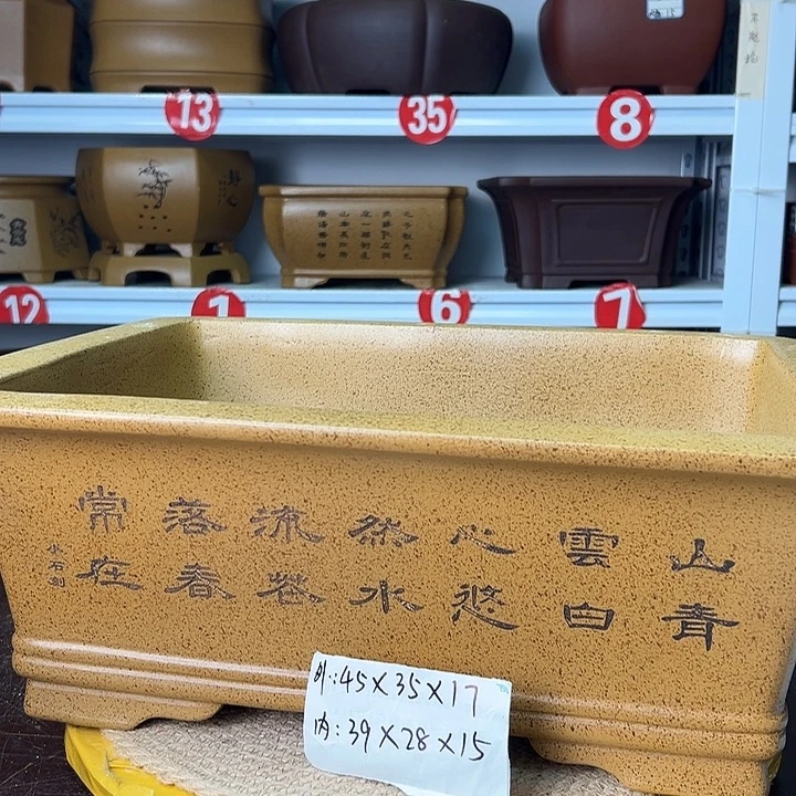 花盆紫砂你在一起