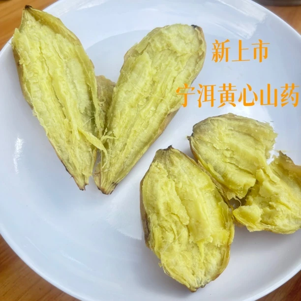 板栗红薯宁洱黄民政地瓜番薯黄皮黄心老品种干面甜宁洱黄心山药