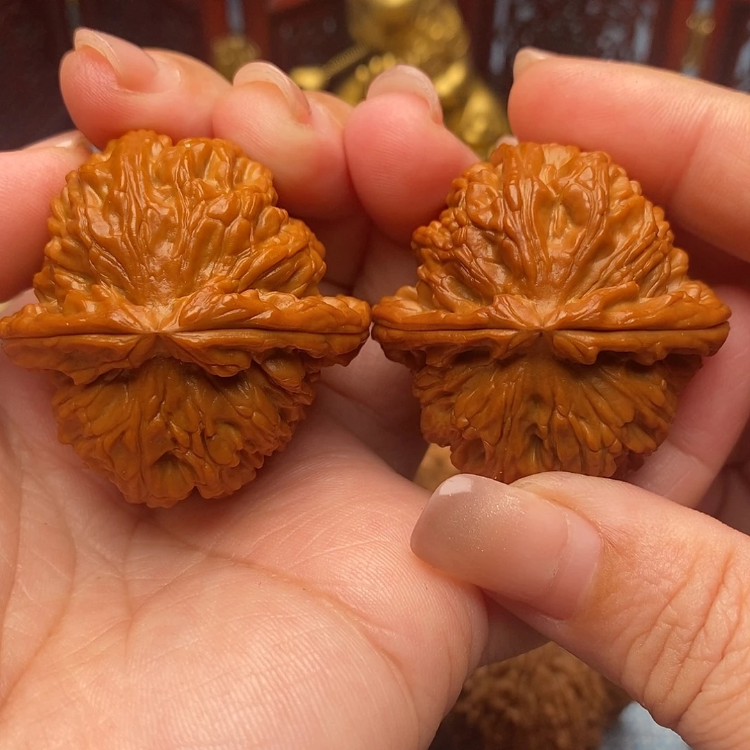 文玩核桃把件41.5全品毕业白狮子