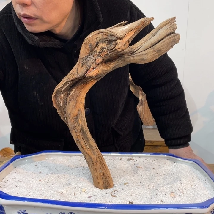 浪**嫖我们都是好孩子呀