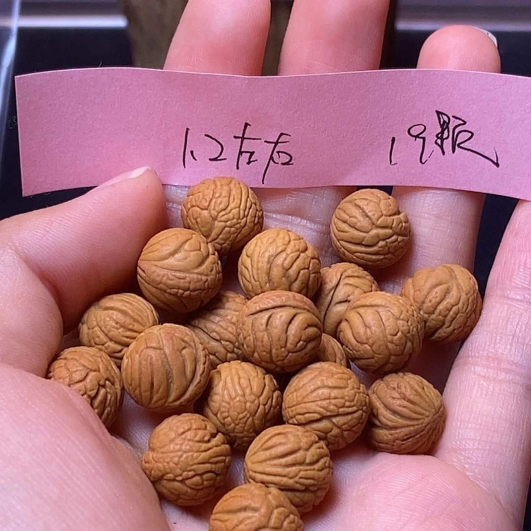 桃核手串秦岭龙纹桃核1