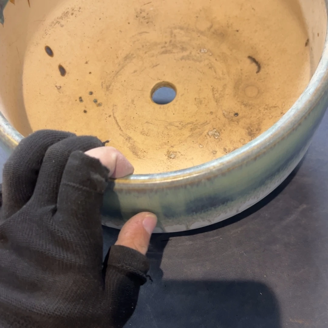 瓷片小**水拾六家的瓷器瓷器