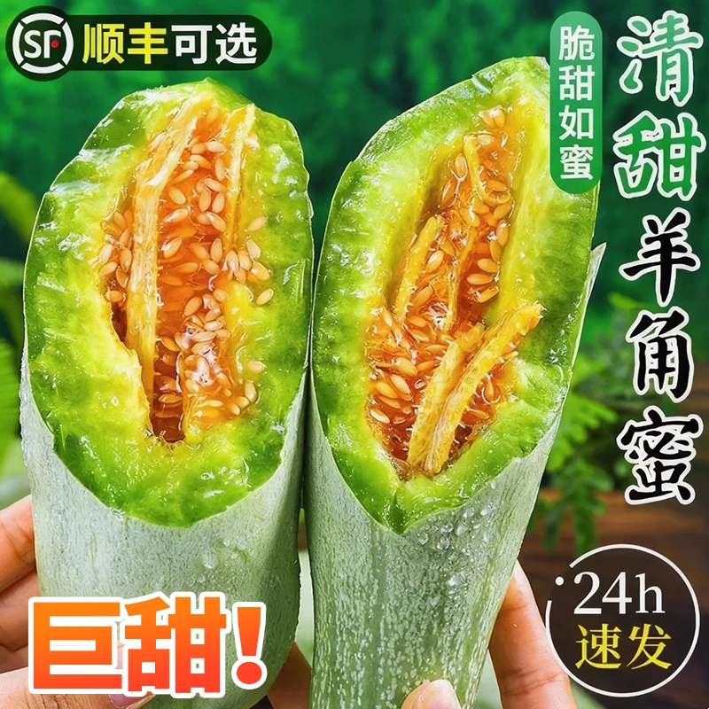 千人复购！达人专属！山东羊角蜜产地直发蜜瓜羊角蜜瓜