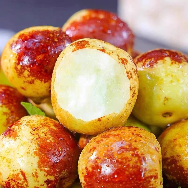 【顺丰/JD包邮】山东沾化冬枣脆甜大果4.5-5斤/礼盒装