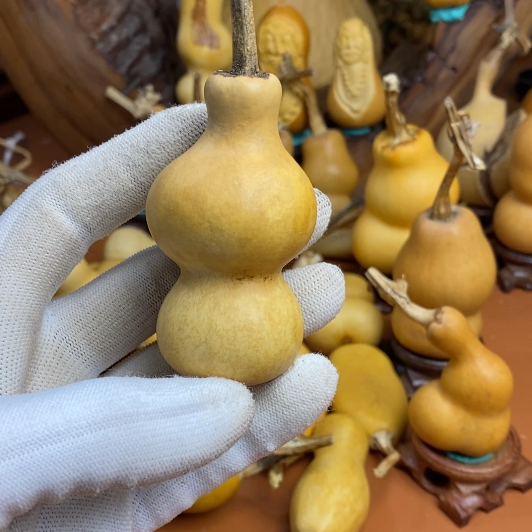 黑***Z距离教练考虑教练咯