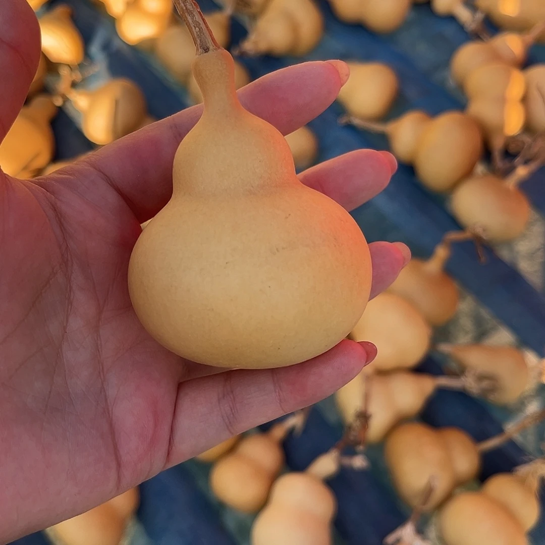 虎***山天坛胖墩专属链接