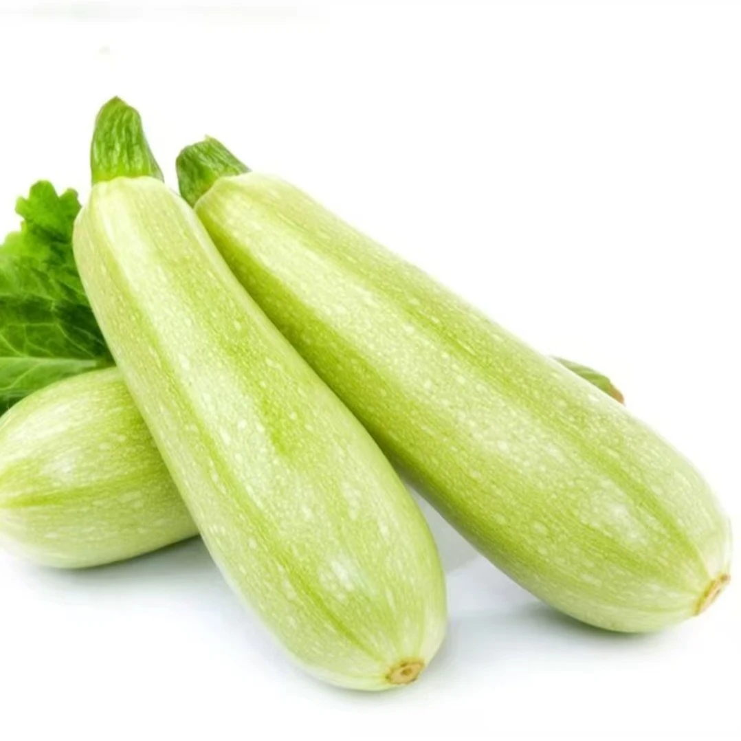 山东农家自种嫩瓜西葫芦角瓜当季新鲜蔬菜现采现发3斤5斤装