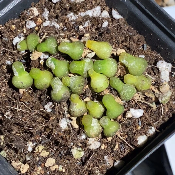 K18133一组一组一组