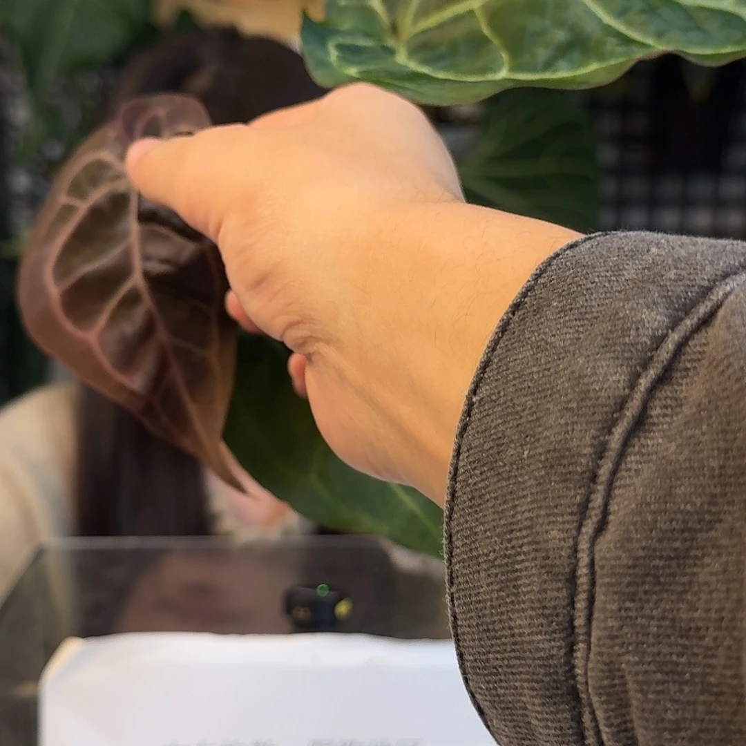 完全开放G126紫水晶杂