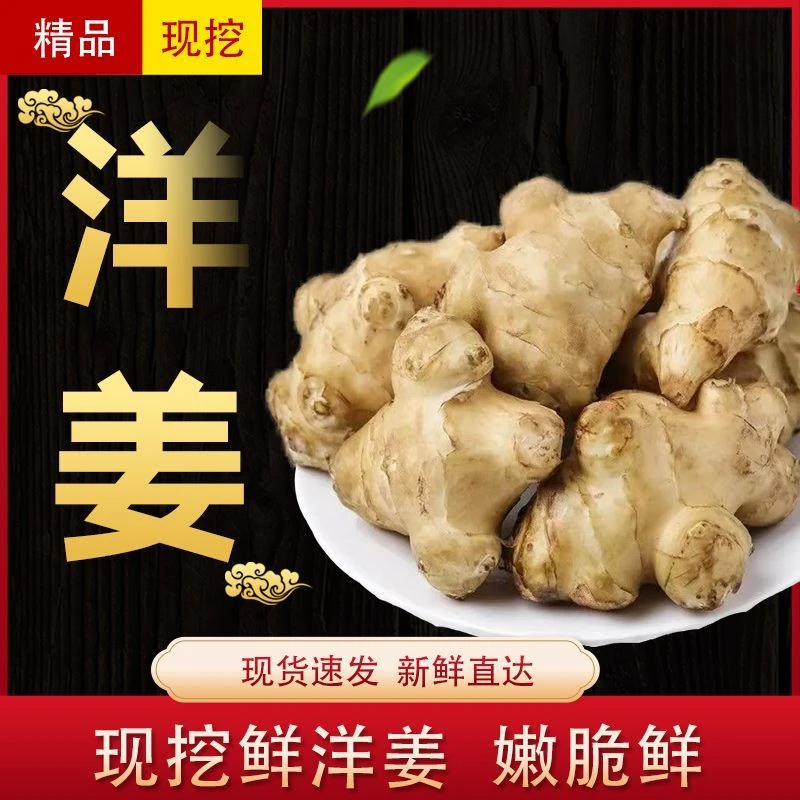 【9斤最划算】新鲜洋姜现挖可腌制咸菜不辣菊芋鬼子姜3斤5斤9斤