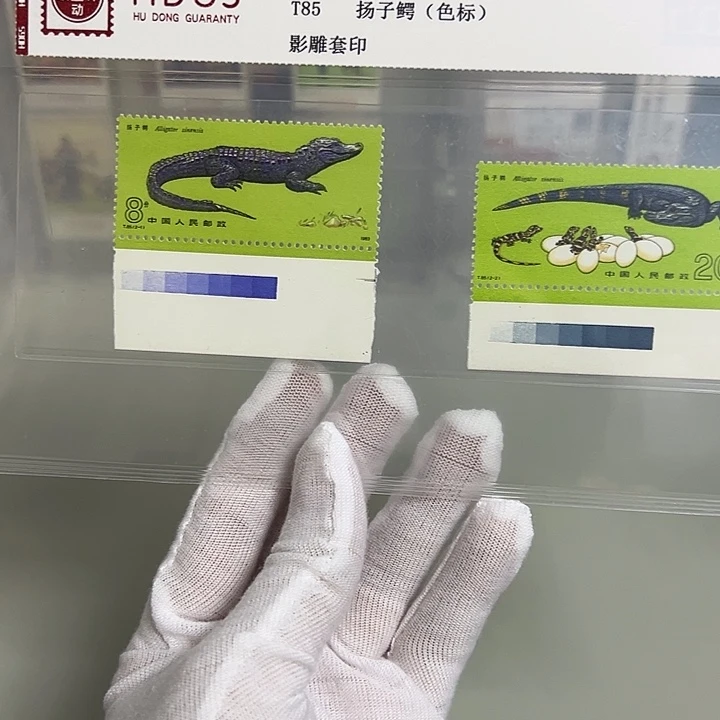 T85色标评级98邮票