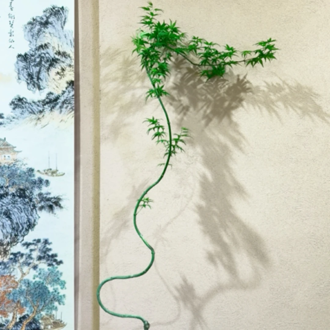 [单高]青流泉黄金枫盆栽树红枫造型室内植物室外阳台好养