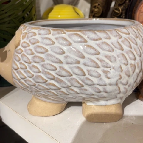 【闪购商品】罐摆件摆件摆件摆件摆件