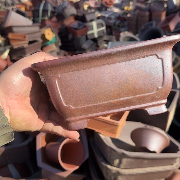 这一期太有意思咯好棒好可爱呀太喜欢这两期节目