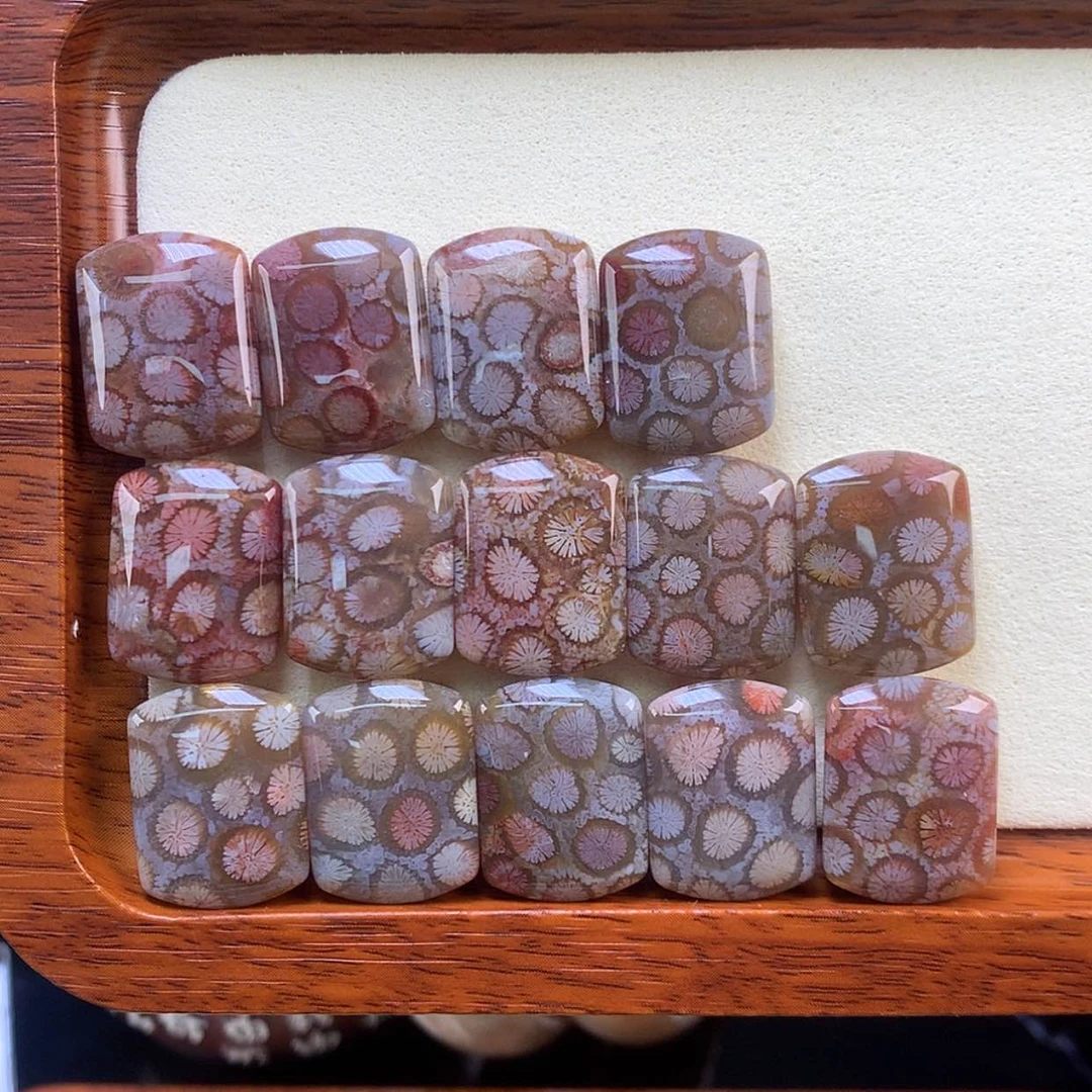 【闪购商品】颈饰未镶嵌硅化珊瑚（珊瑚玉）34号哇塞！好绝！皮花花