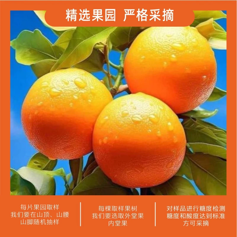 正宗赣南脐橙当季水果5斤小果现摘现发果园直发孕妇水果精品套袋