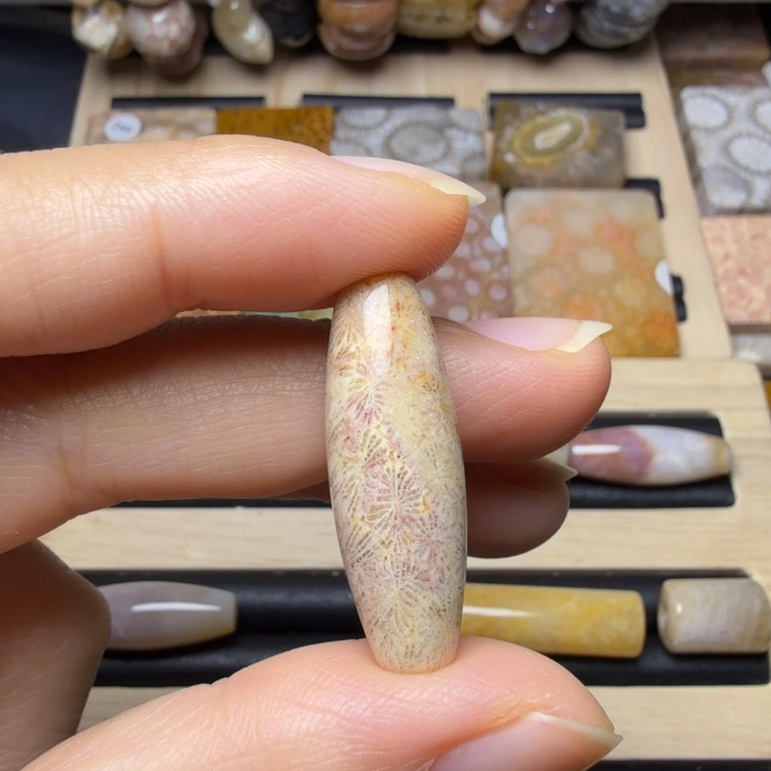 硅化玉未镶嵌20一个，100米6个