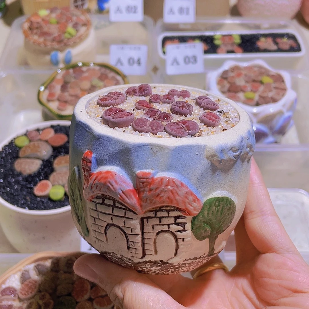 小房子全紫。。。。。。。。。。