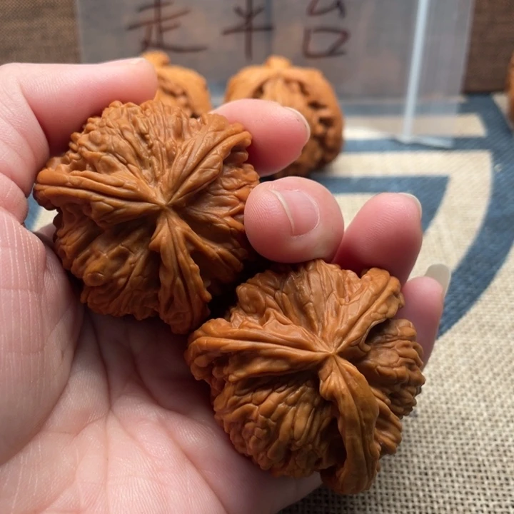 M***S核桃白狮子44核桃