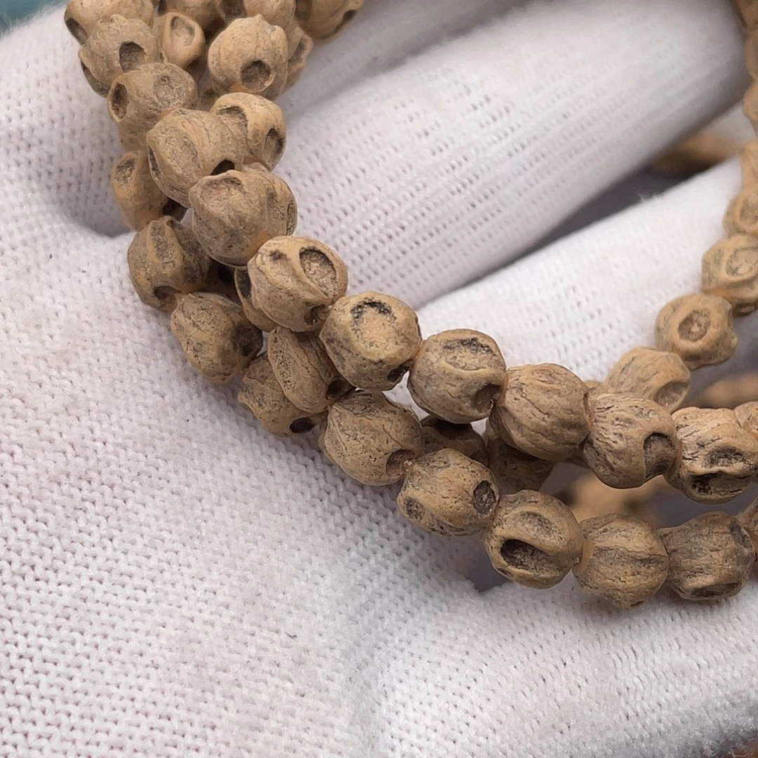 完***画手串柏香籽/百香籽