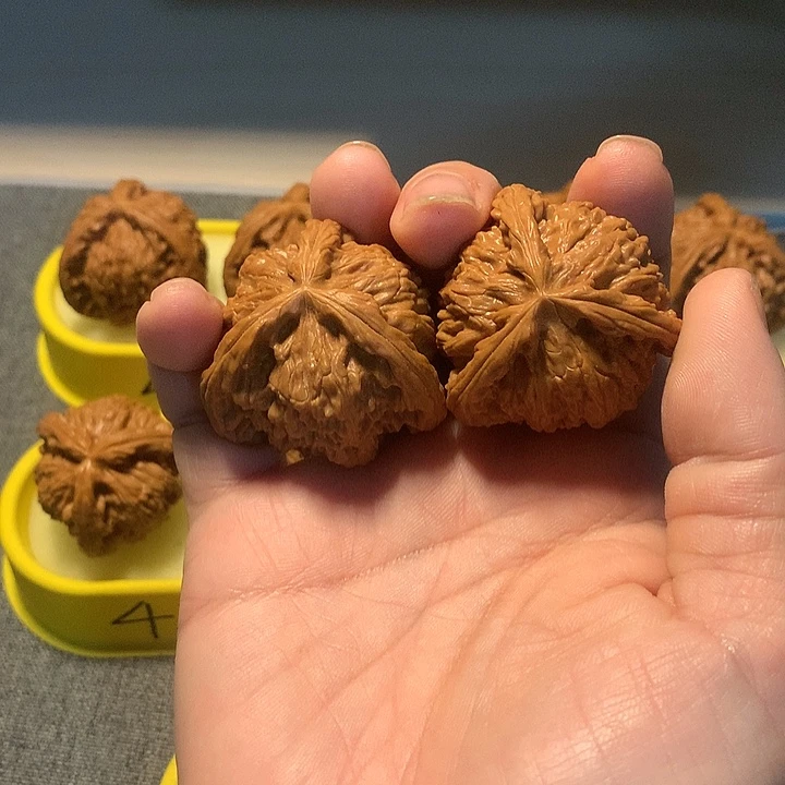 W***S文玩核桃吊坠111111