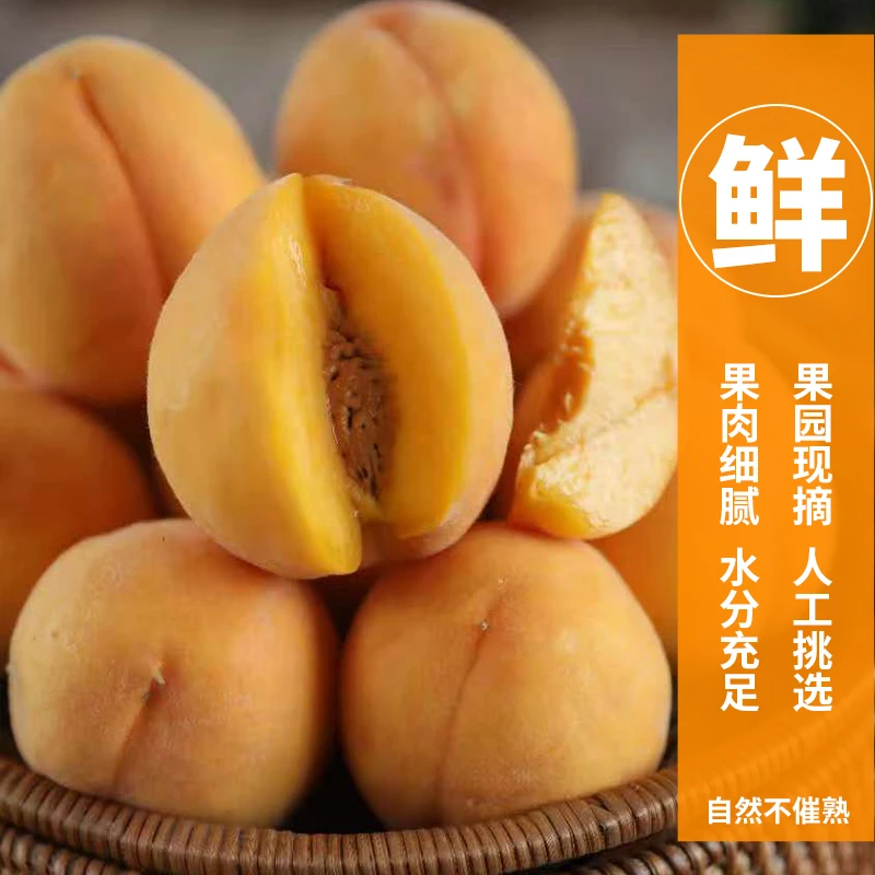 三冬四夏山东蒙阴现黄桃毛桃油桃蜜桃脆软两吃（京东包邮）