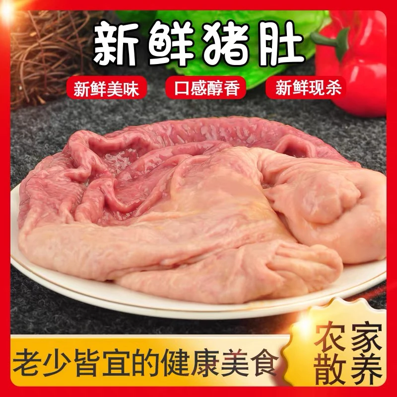 鲜猪肚生鲜-吉林散养土猪笨猪肚5斤（带少量油边）新鲜猪肚子生猪肚