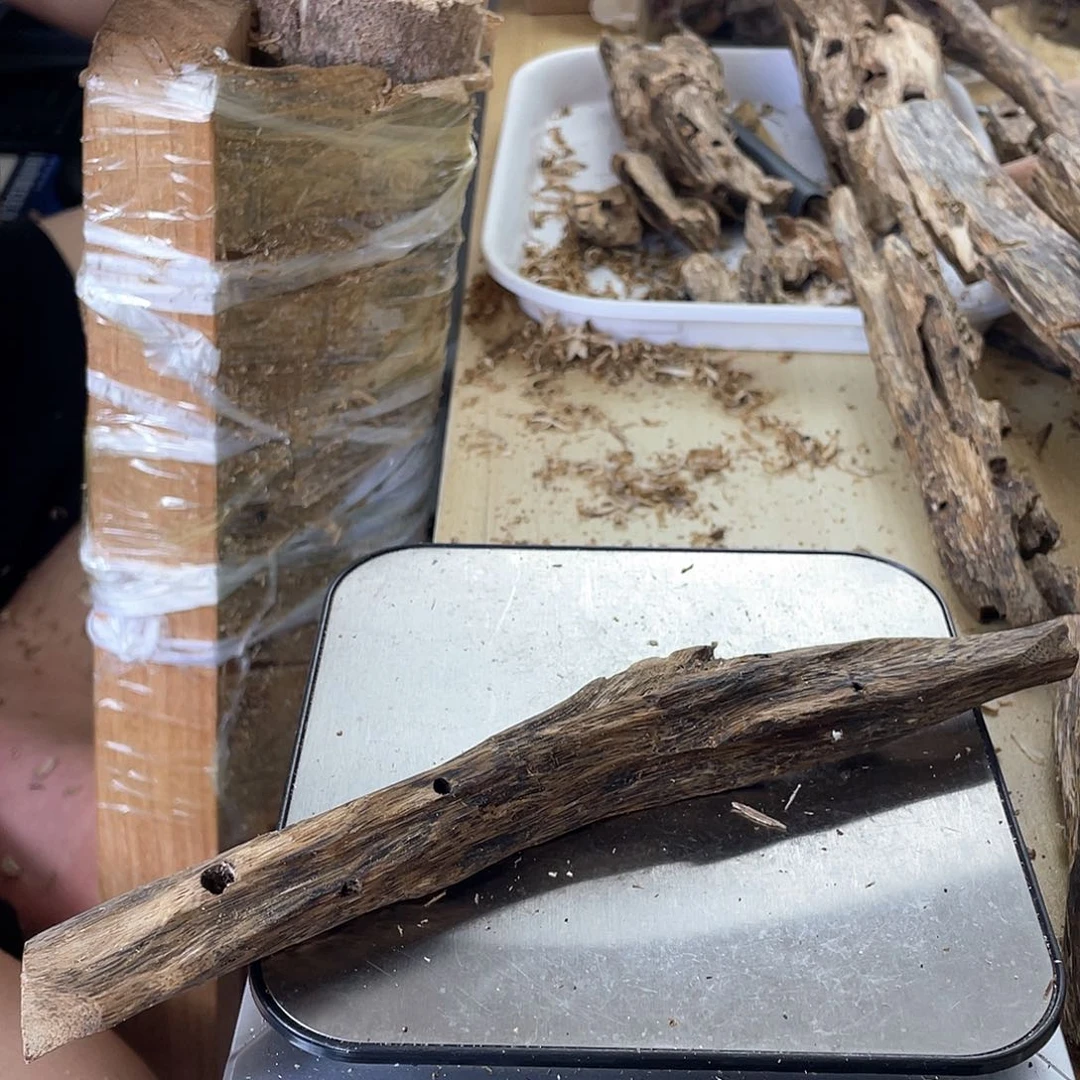 木绿奇楠原材料虫漏21克