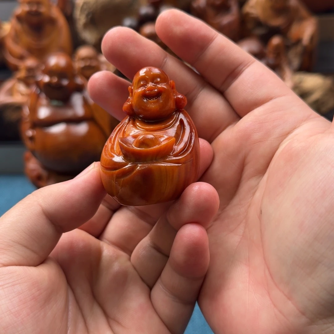 柏木（崖柏）太行崖柏