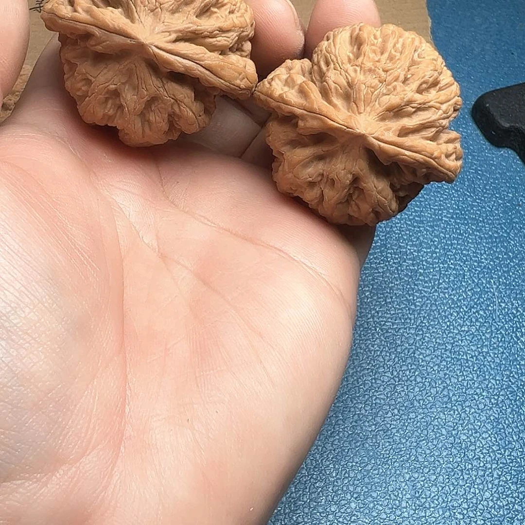 文玩核桃把件47大粗筋