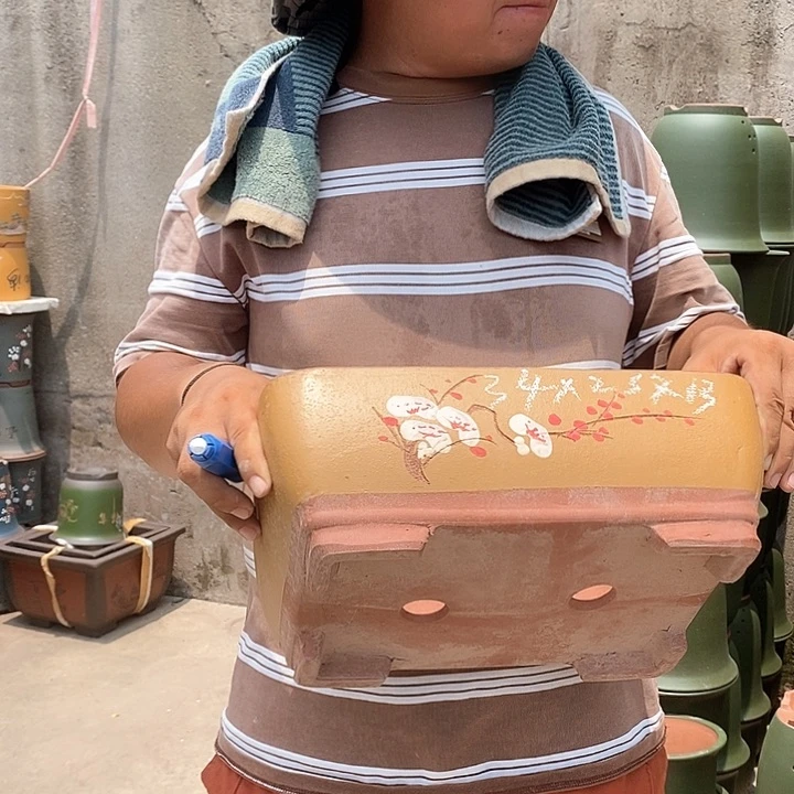 紫砂花盆盆栽植物花卉苗木种植