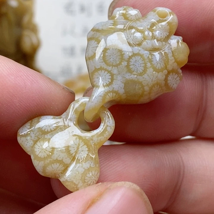 颈饰未镶嵌硅化珊瑚（珊瑚玉）
