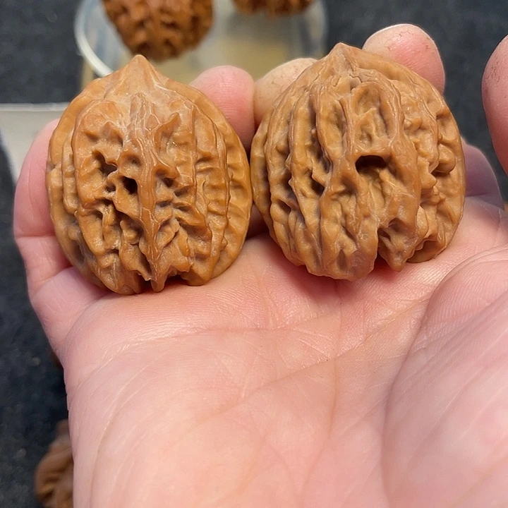文玩核桃把件曹大龙