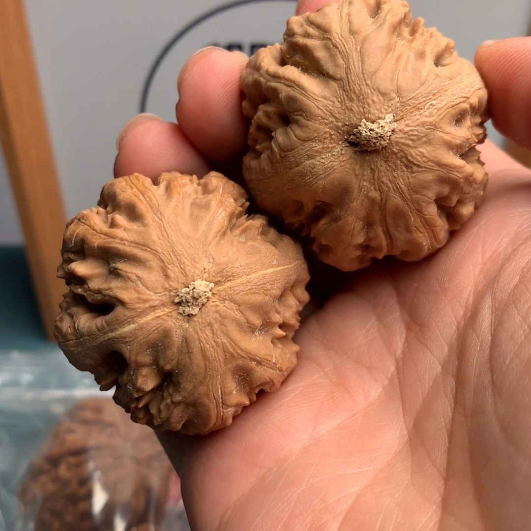 寄***橙霸王龙1个自然村落中共有