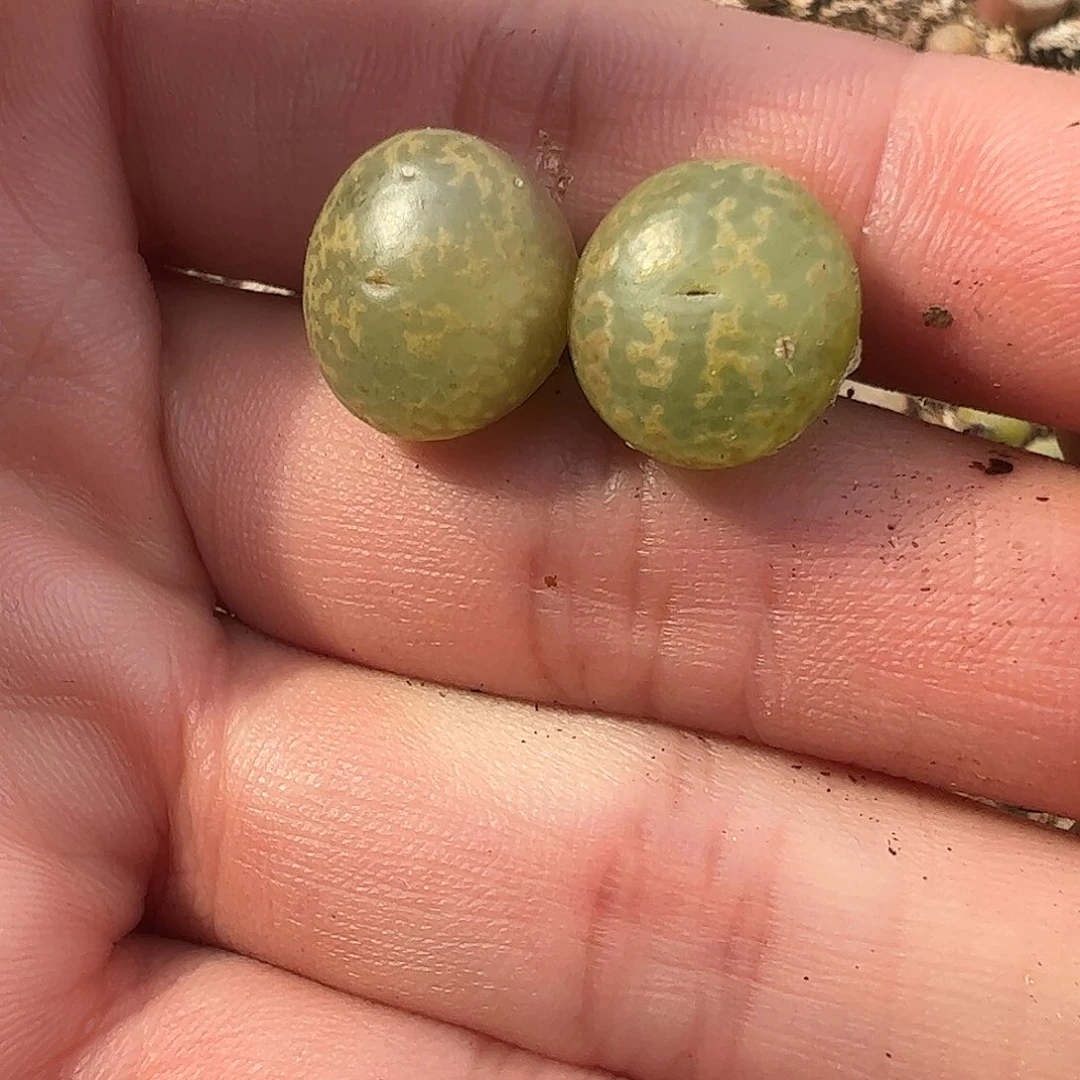 0000量拍1444.36K勋2颗