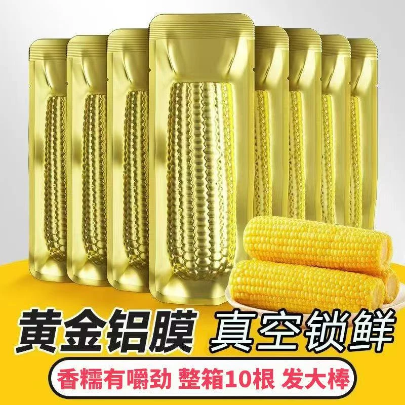 【试吃3根】东北黄糯玉米软糯香黏铝箔包装单棒240g-300g整箱10大棒
