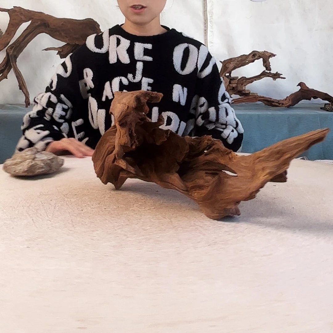 沉木造景爬宠造景