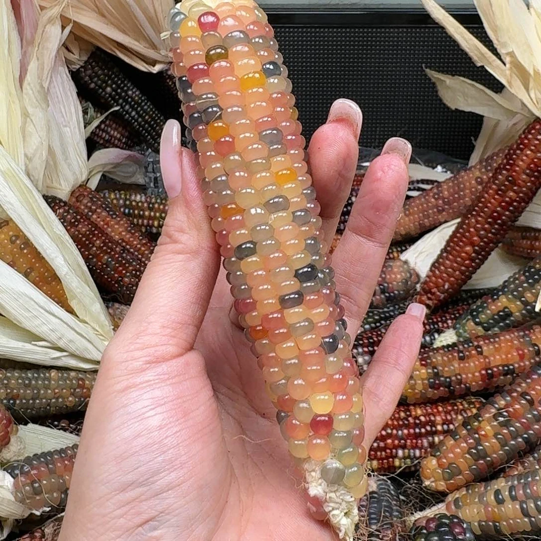 柏香籽/百香籽吊坠云**轻