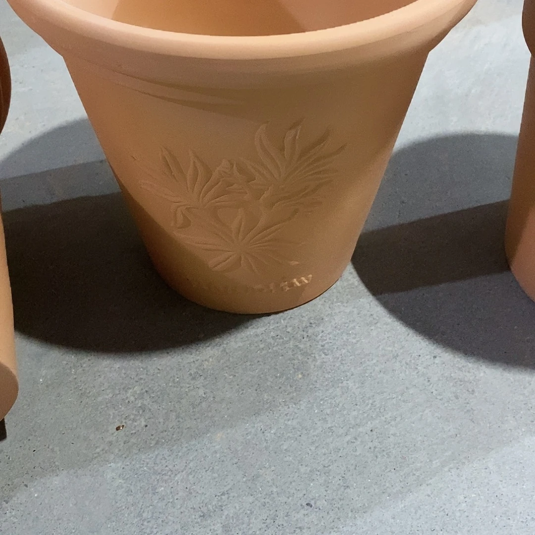 香草20×19-1