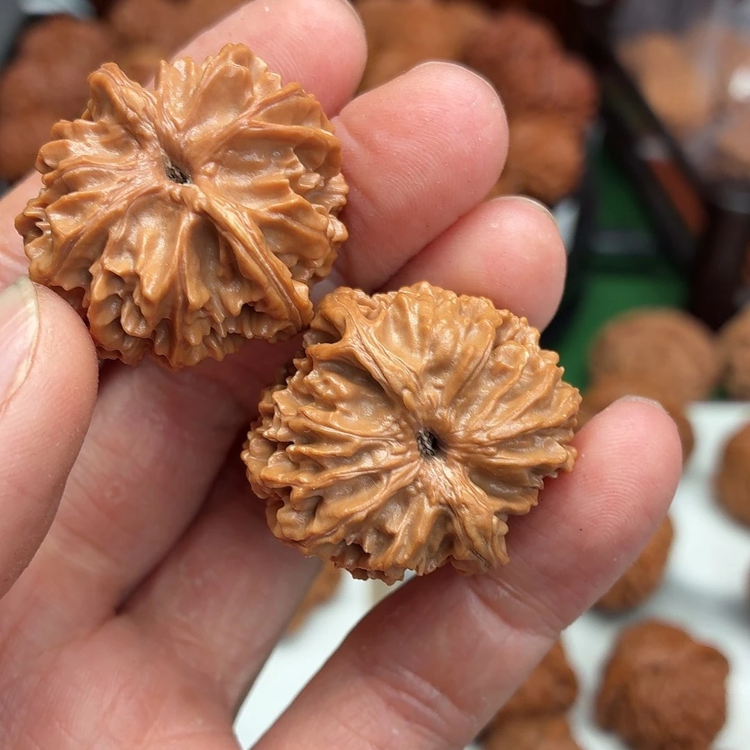 核桃把件别***毛珊瑚塔