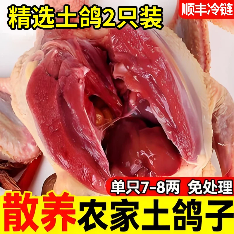 散养鸽子肉新鲜现杀乳鸽子批发土鸽子汤三年老鸽子肉生鲜农家