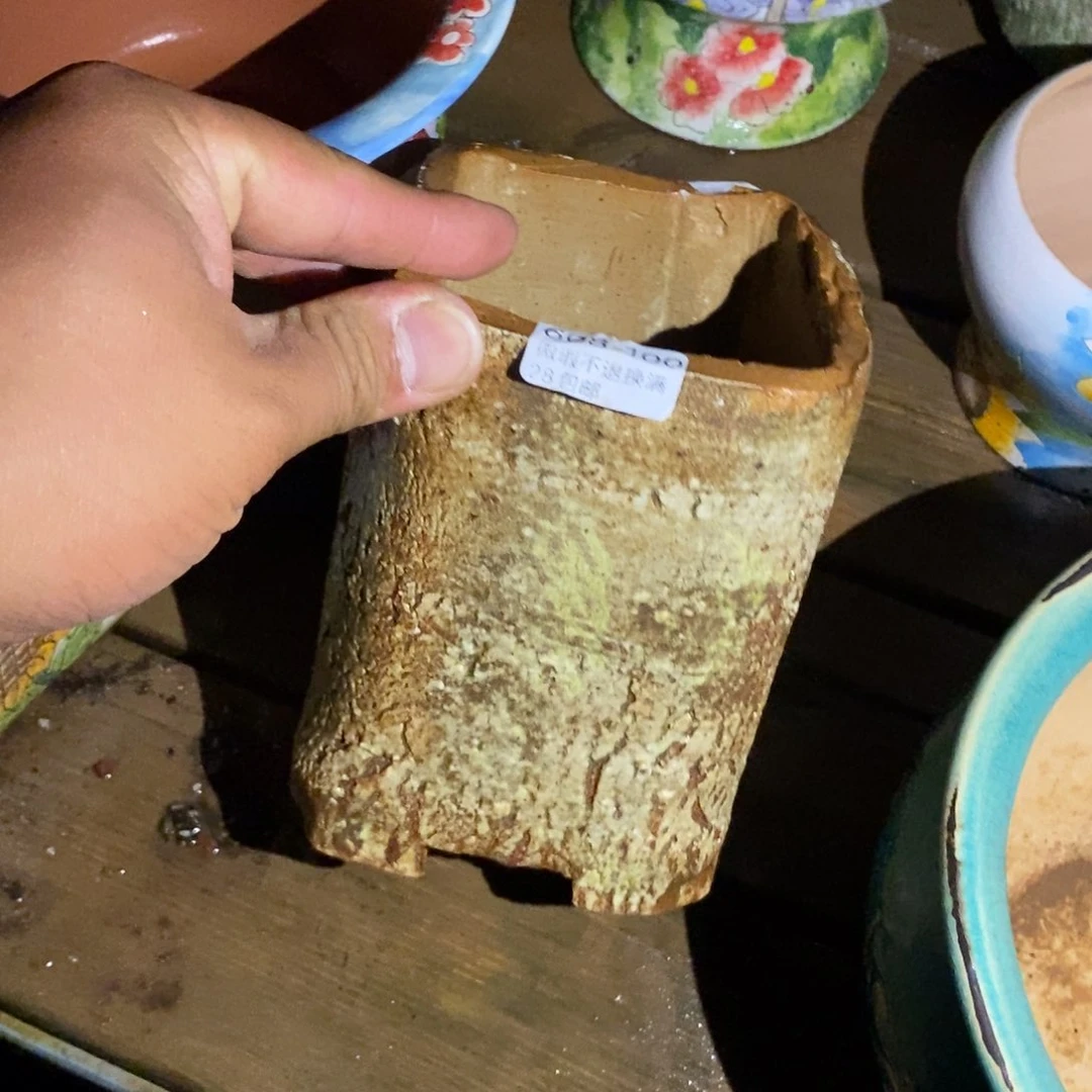 *️***100号花盆福利啦啦啦