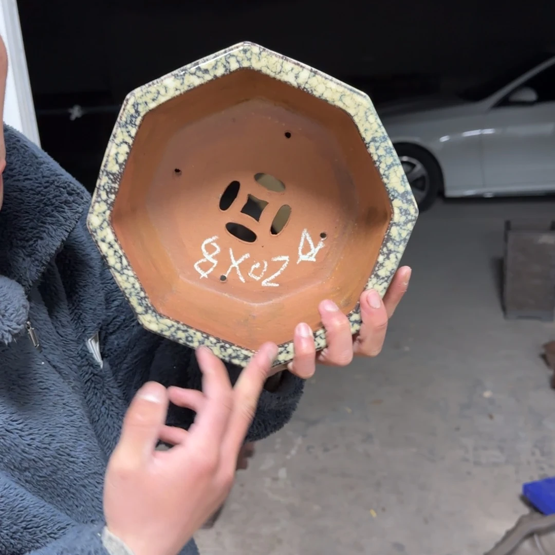 紫砂花盆呜呜呜呜