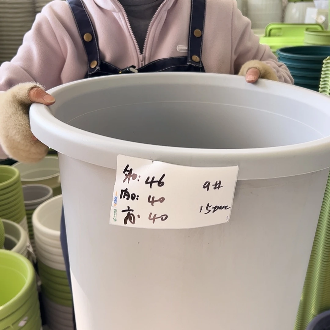 四季盆9#灰白色4个无托