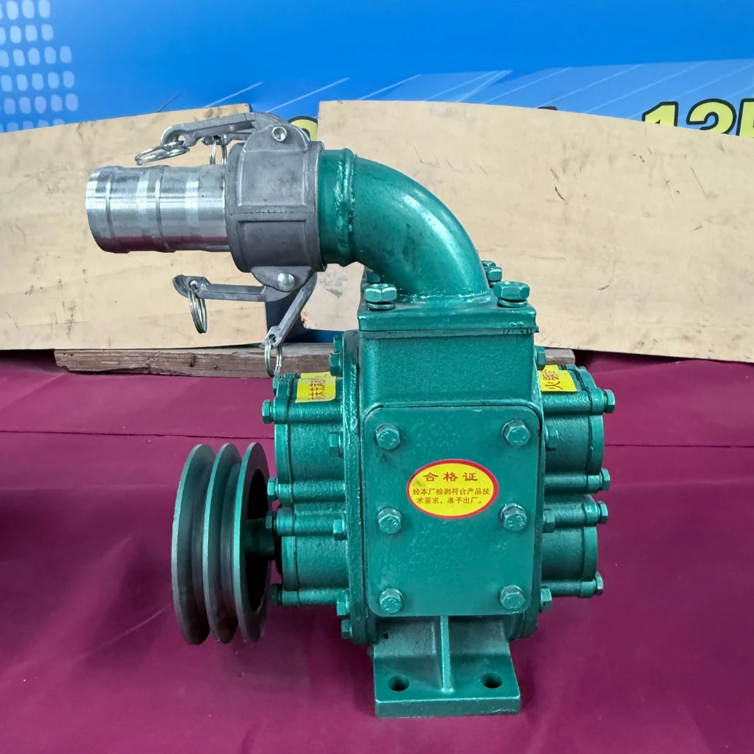 2寸30立方淬火钢齿轮泵头
