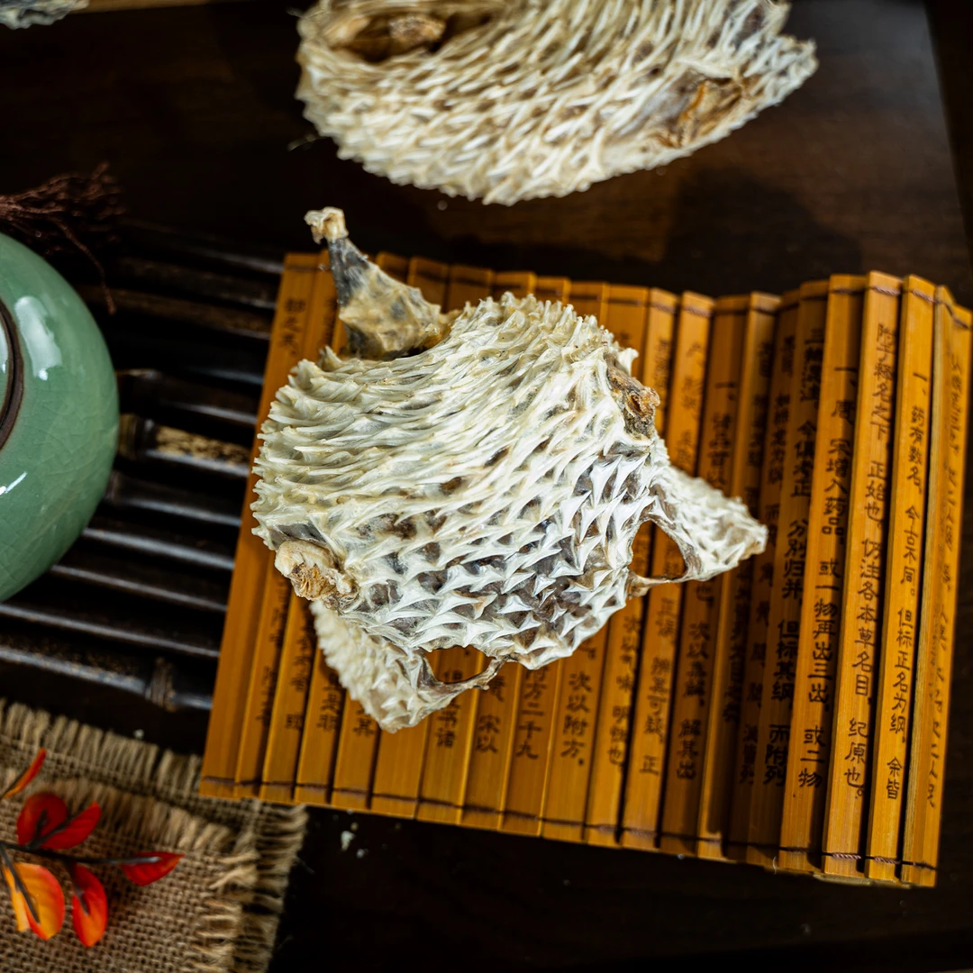 【和成优品】赐龟鱼皮