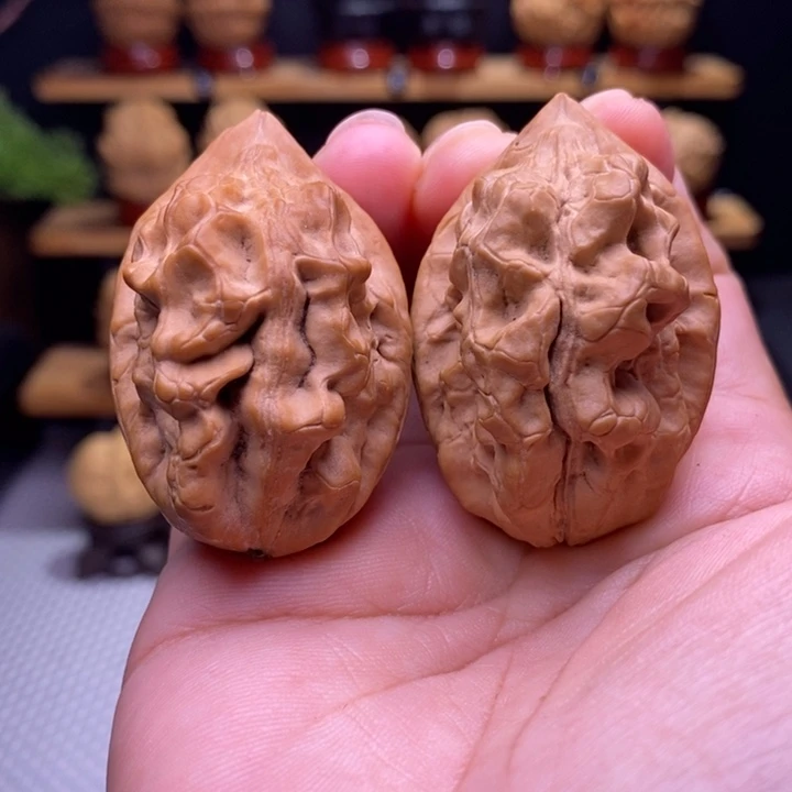 木质类云铁毒蝎子4号