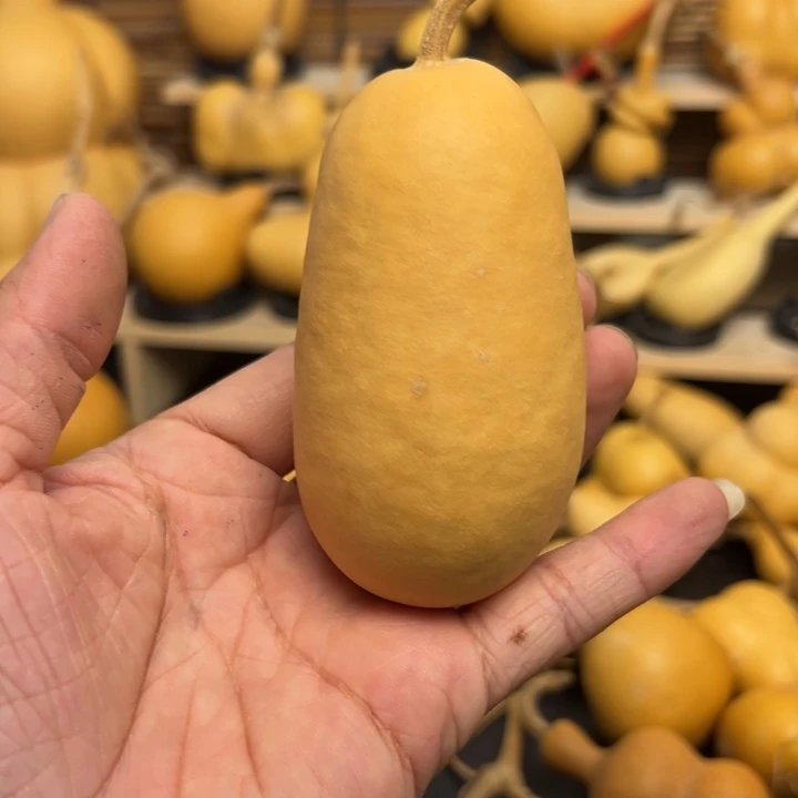 富**便1565689885889999