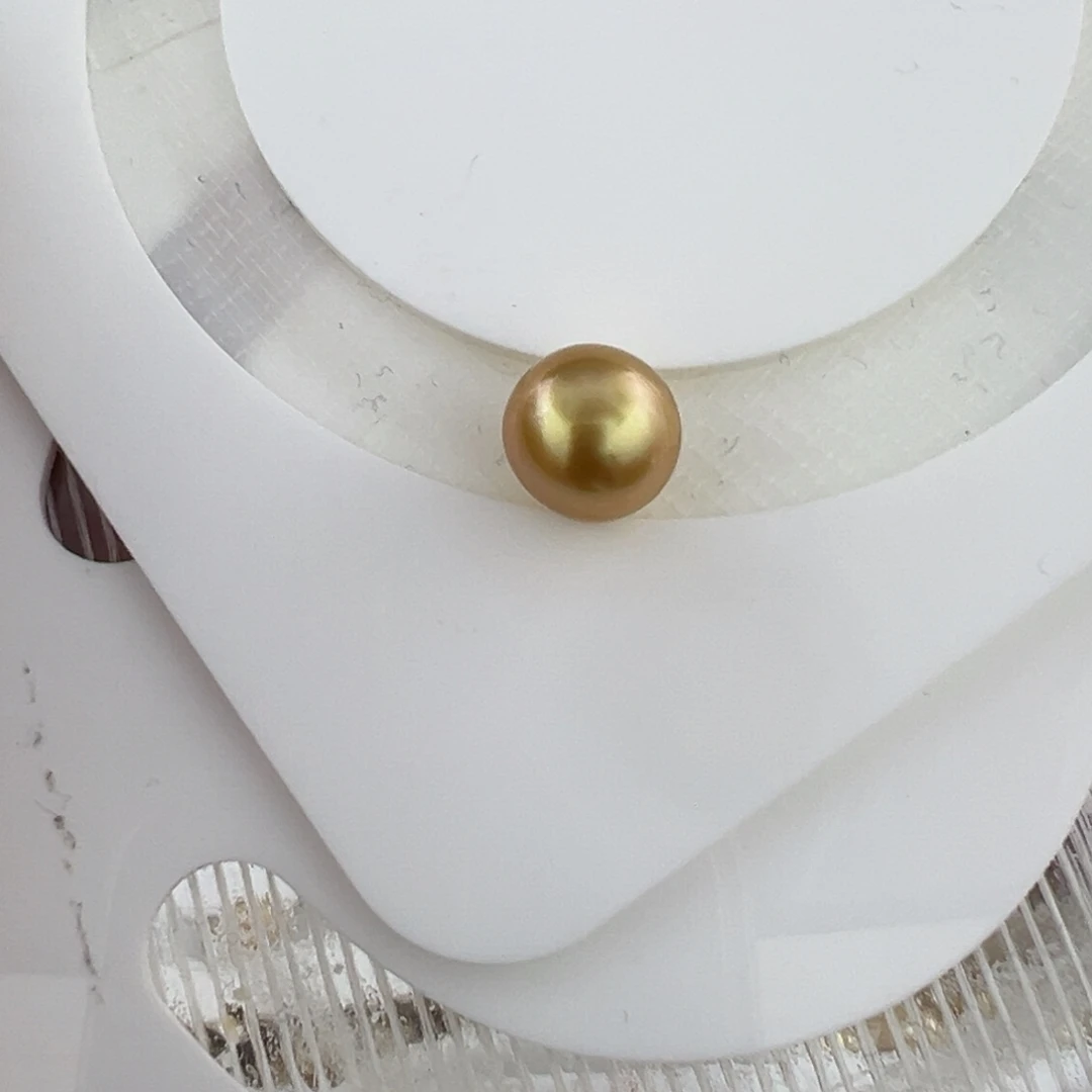 小****海水珍珠裸珠南洋金珠