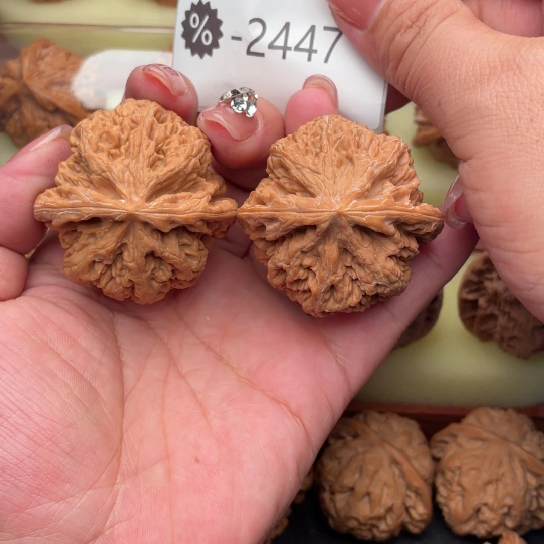 文玩核桃把件46毕业大粗筋